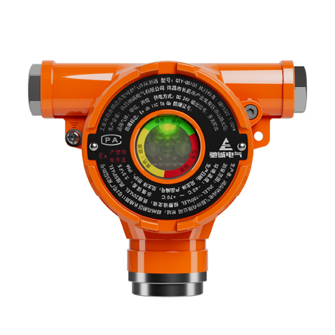 QB100气体探测器